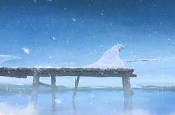 双星闪耀：巴黎圣日耳曼与库里的巅峰时刻-九游网页官网