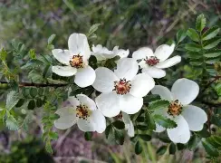 marykay玫琳凯官网